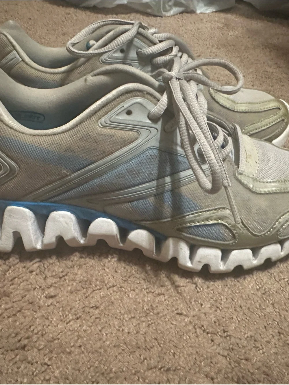Reebok Gray Sneakers with Blue Lining